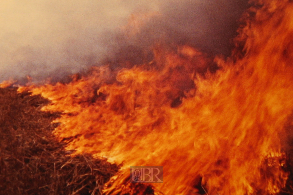 Ferienhilfe auf Castle Barn 1970 - England