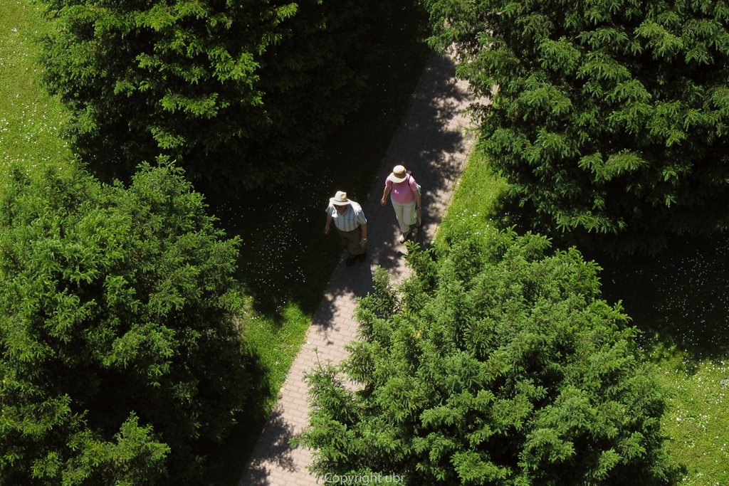 durch_die_hohle_gasse