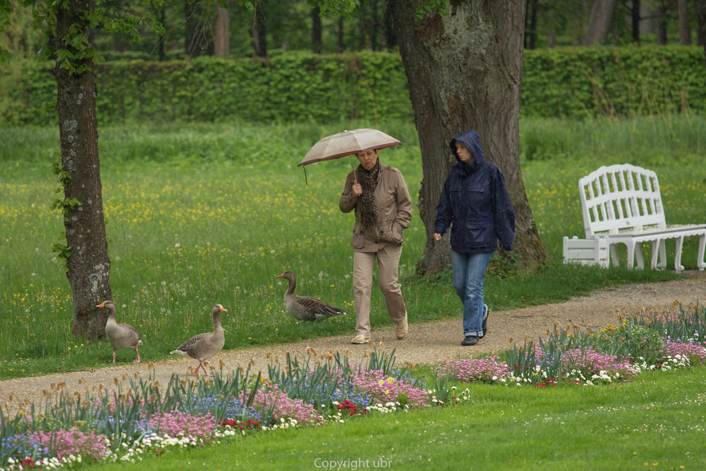 schleissheim_regen_2017