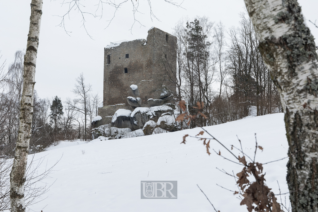 Burgruine Lobenstein im winter