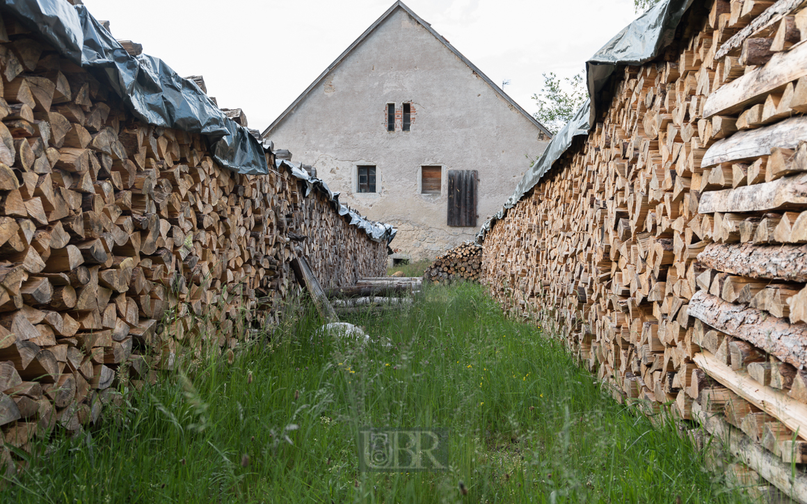 Verlassener Hof am Regen bei Nittenau