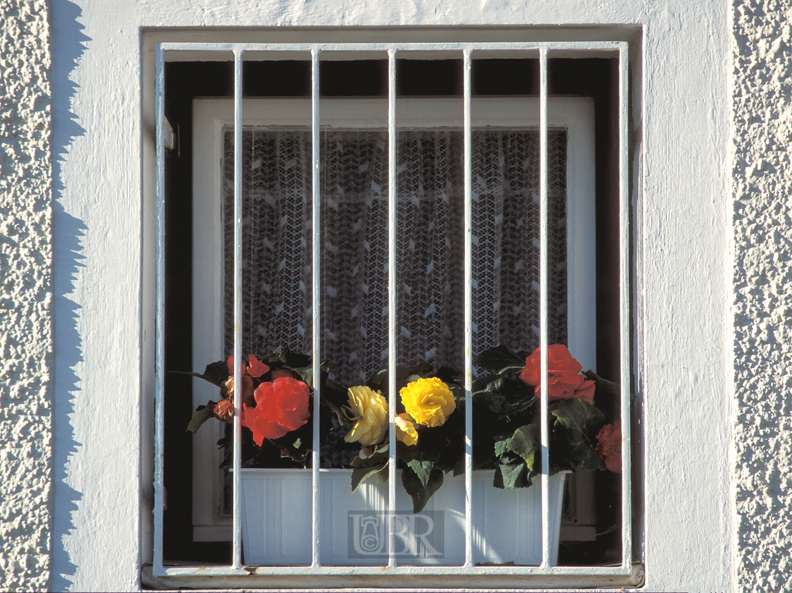 fenster_mit_blumen