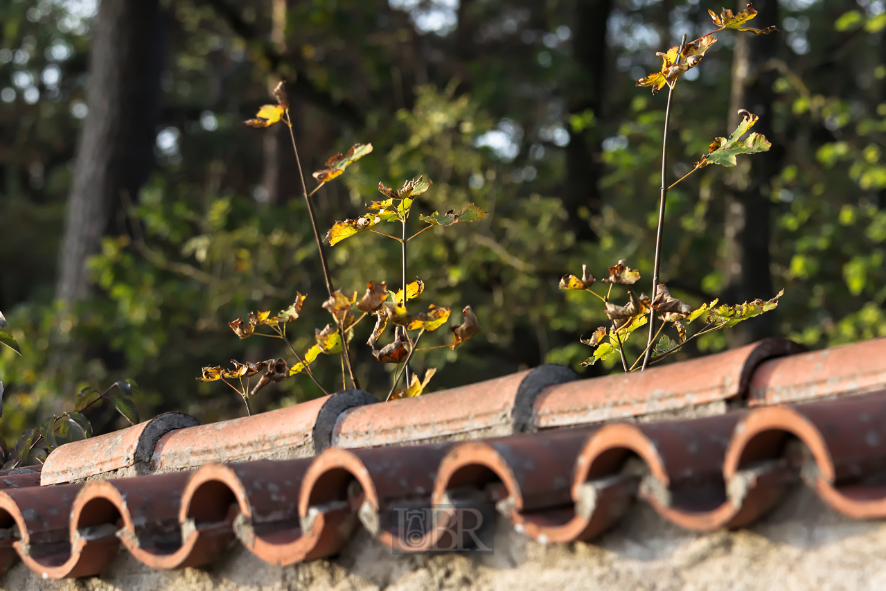 Der Schlosspark Schleißheim - großenteils von Mauern umgeben