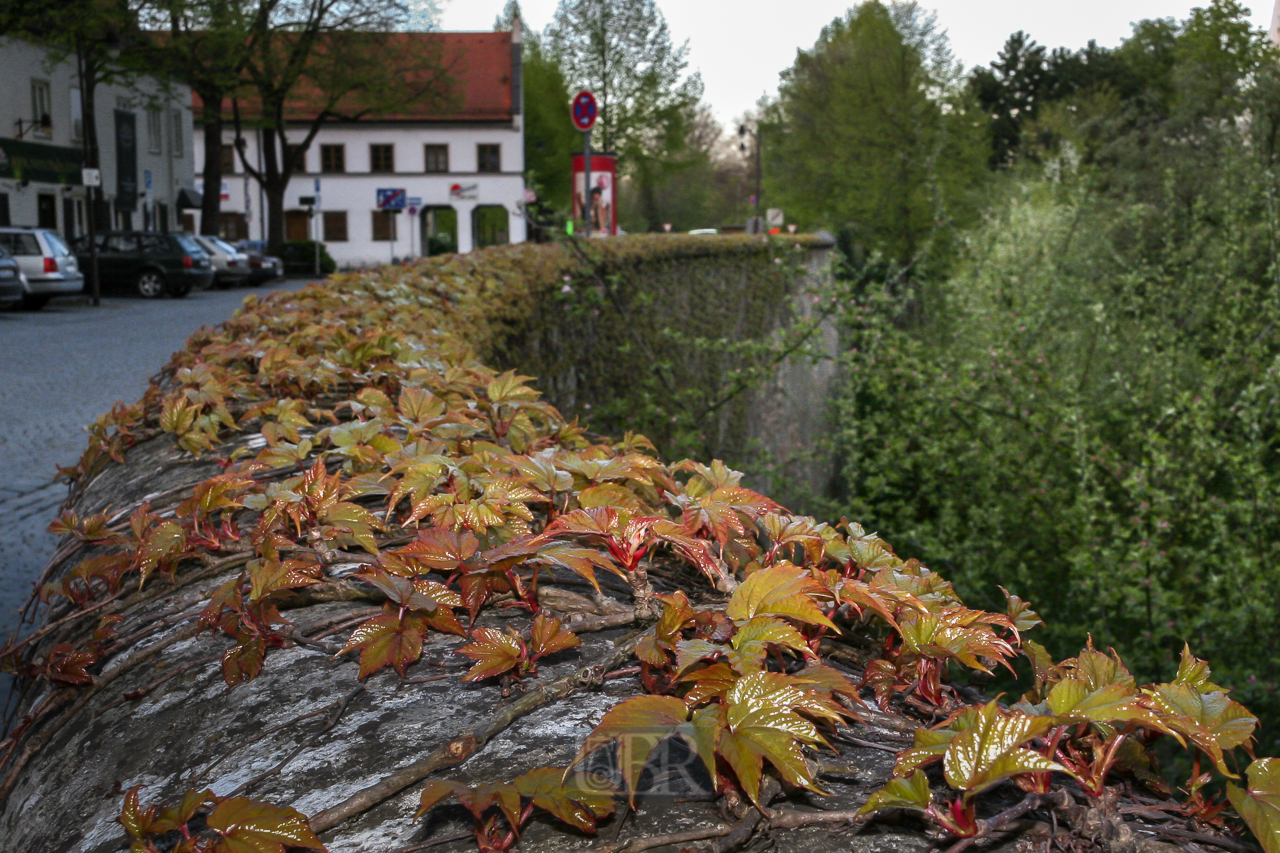 In Ingolstadt