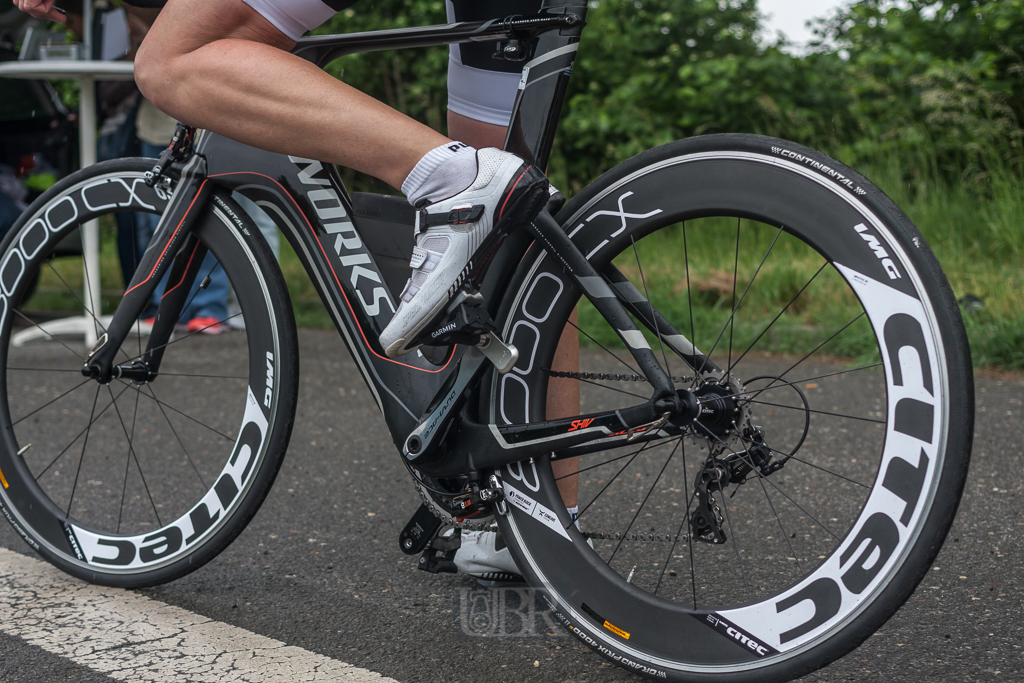 Carbon-Ross mit Reiter