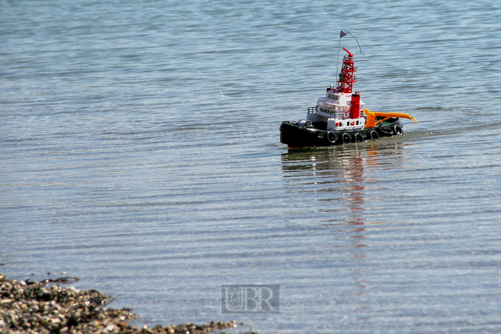 Schlepper auf dem Pullinger Weiher