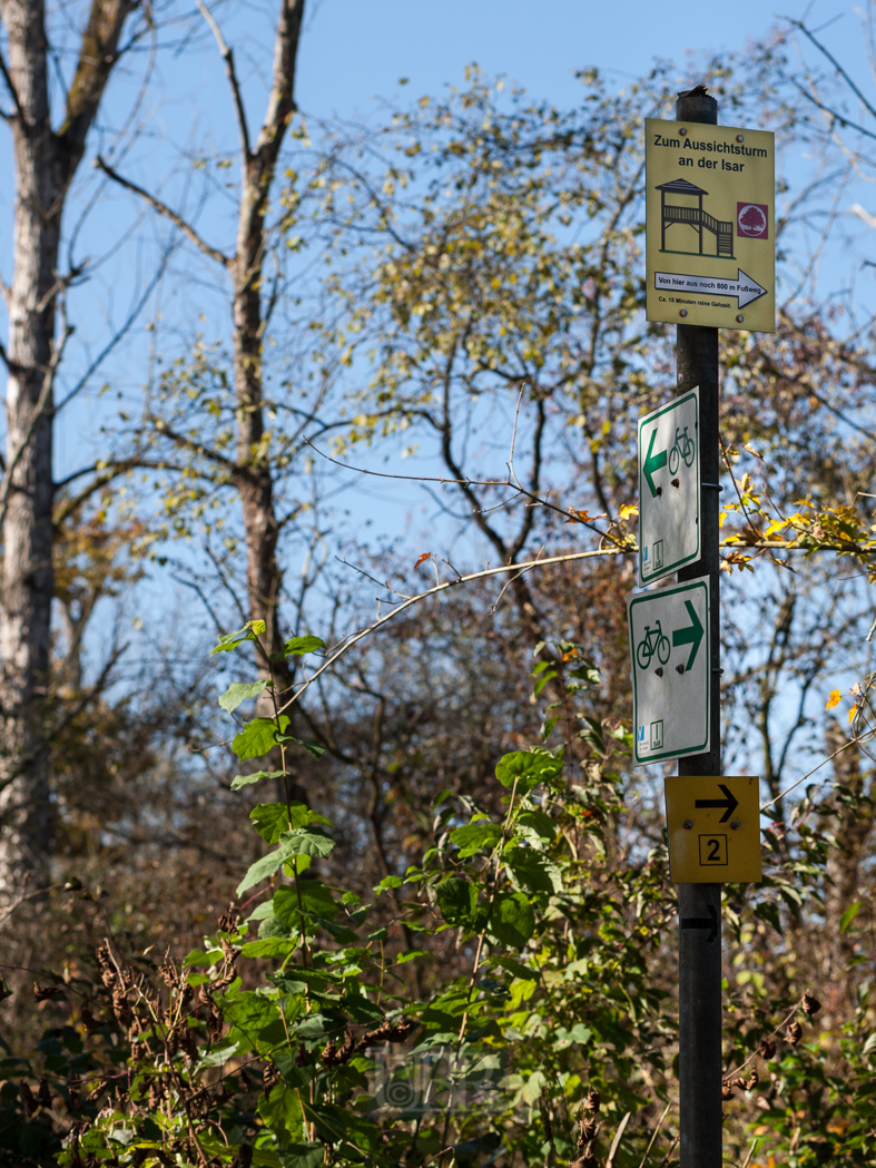 Spaziergang durch das Naturschutzgebiet 'Isarmünde' bei Plattling