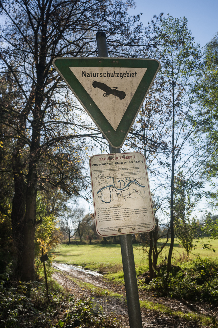 In den Amperauen - Altwasser bei Palzing