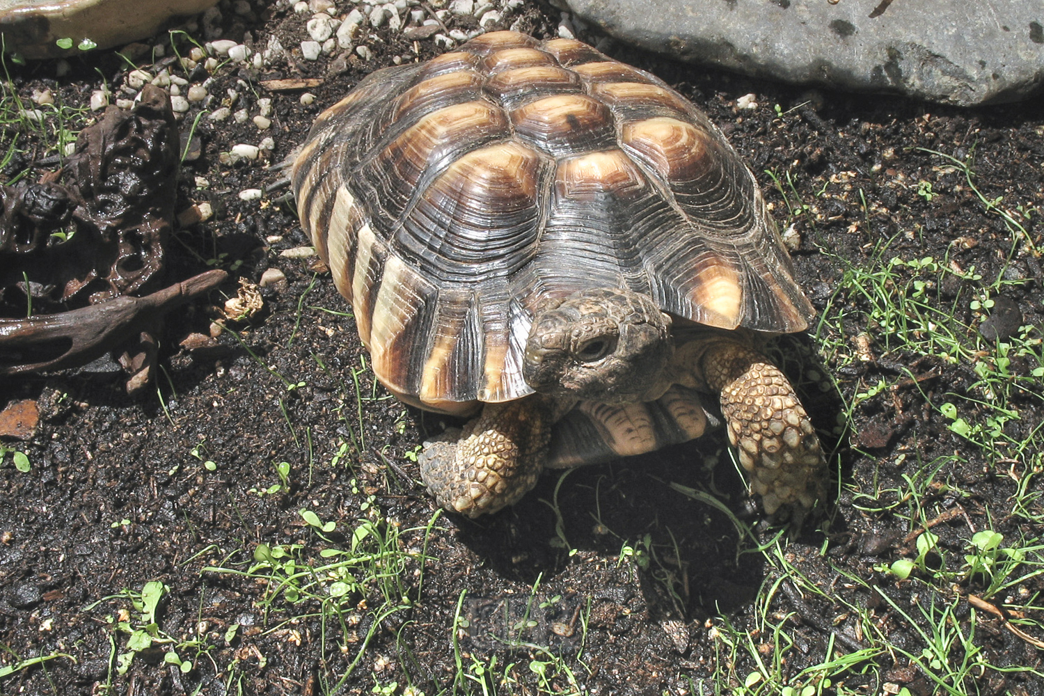 fischbrot_2009