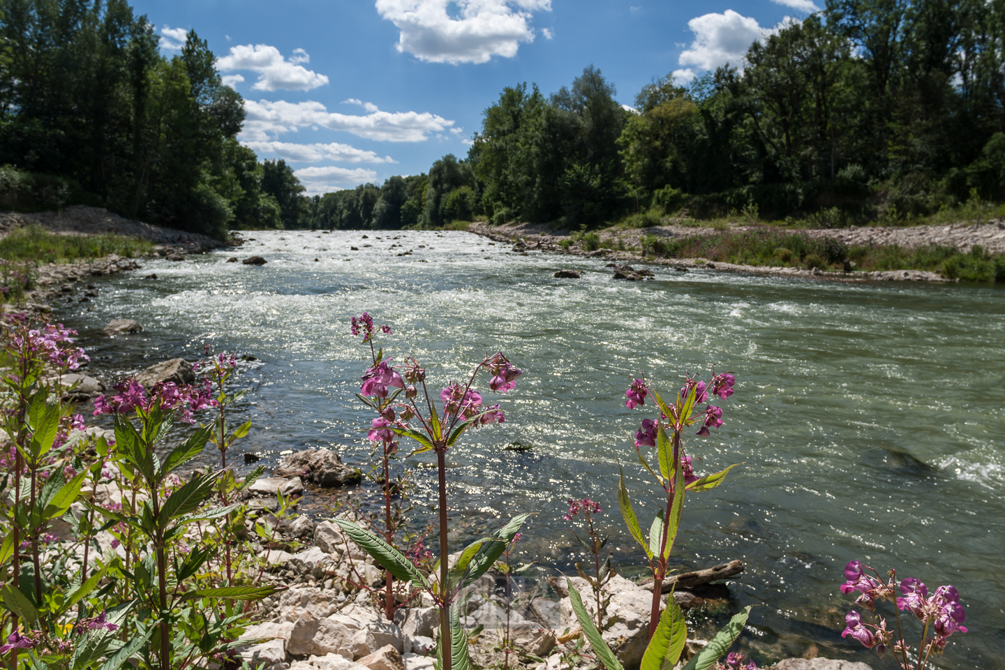 Die Isar auf dem Weg nach Freising