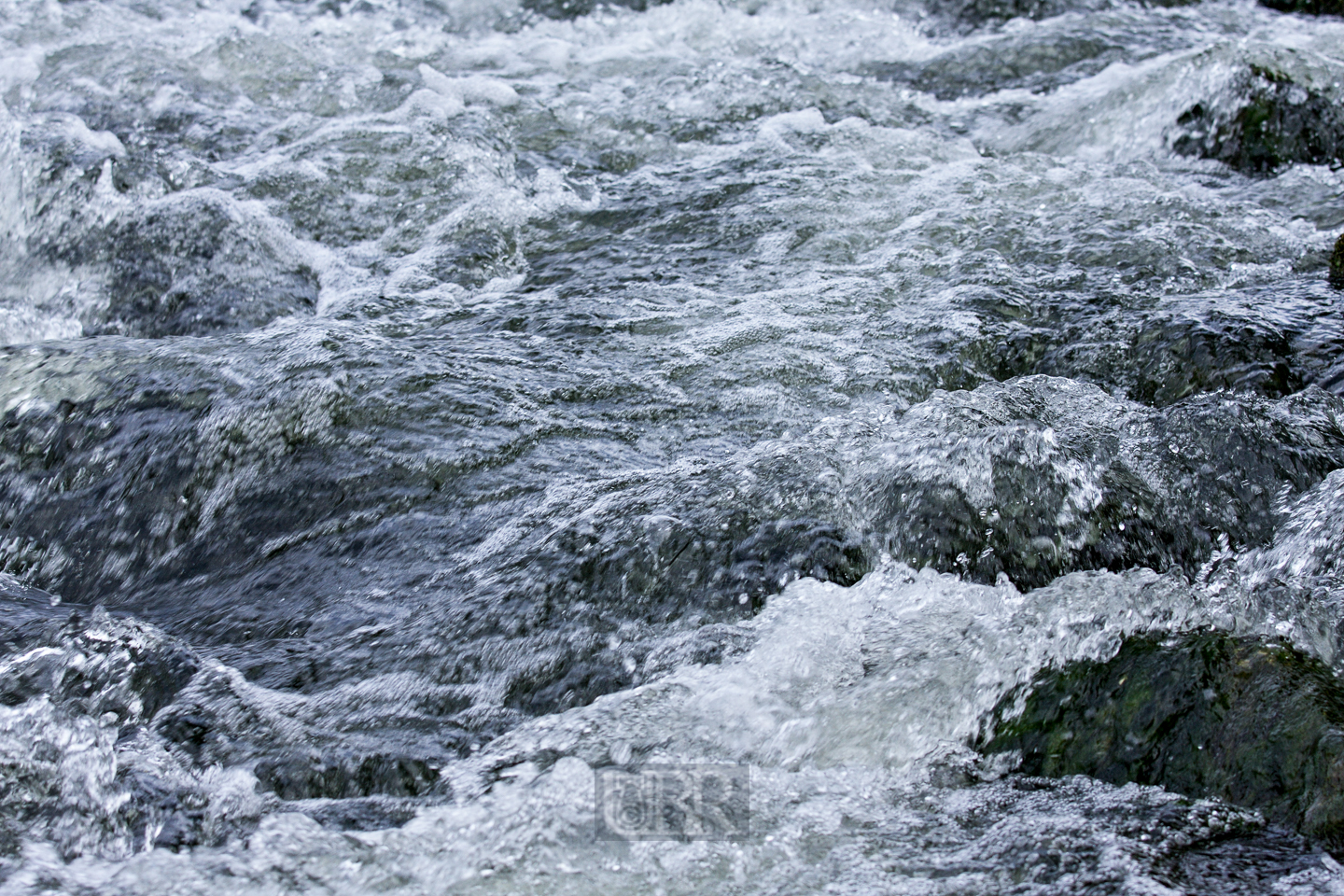 Die Isar geht über Stock und Stein