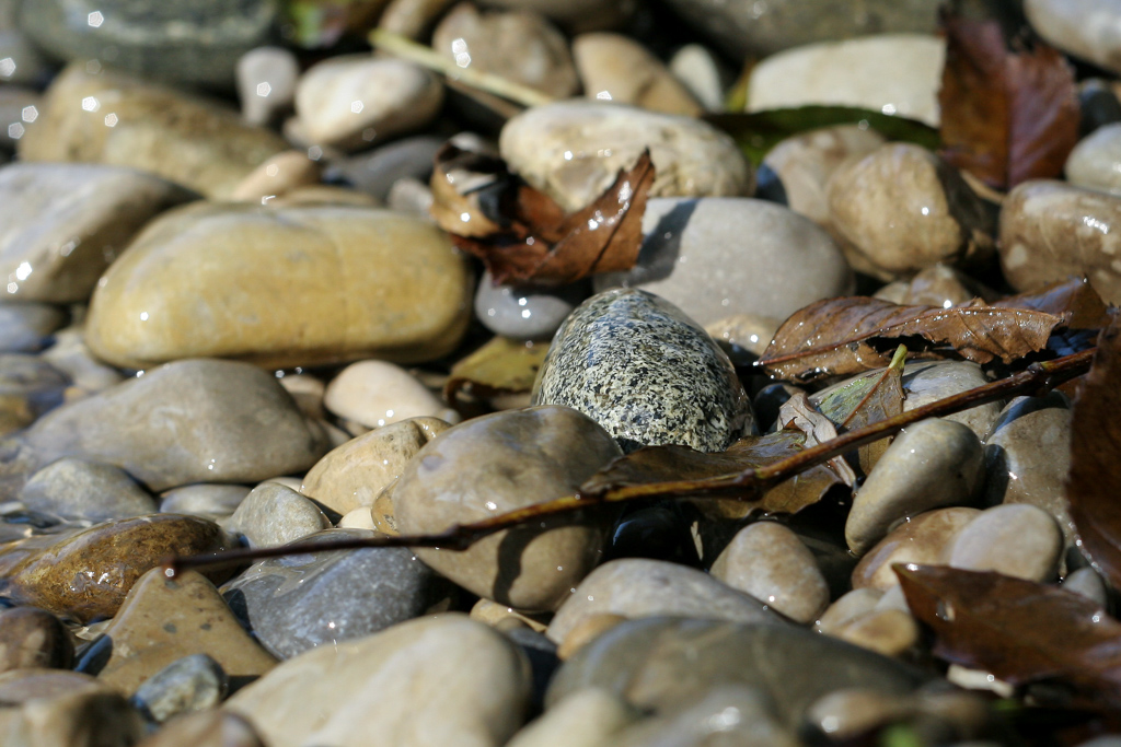 isar_kieselsteine_03