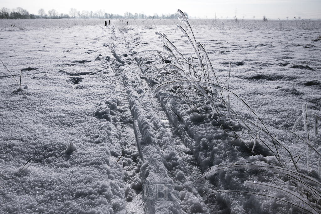 winter_morgen_heide_01