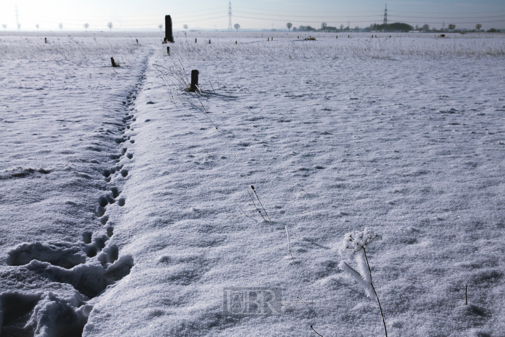 winter_morgen_heide_03