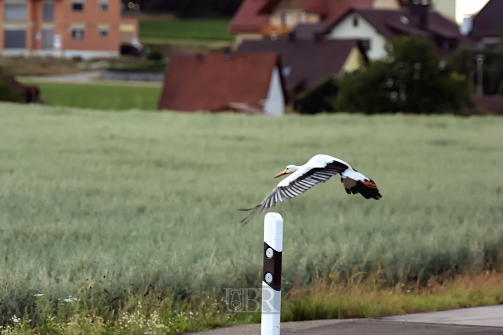 In der Oberpfalz