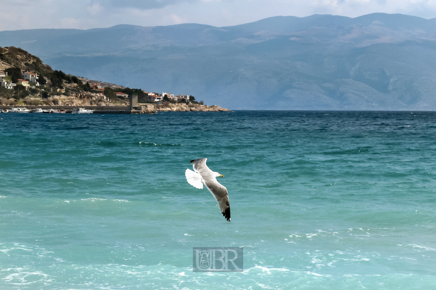 baska_04_strand_moewe