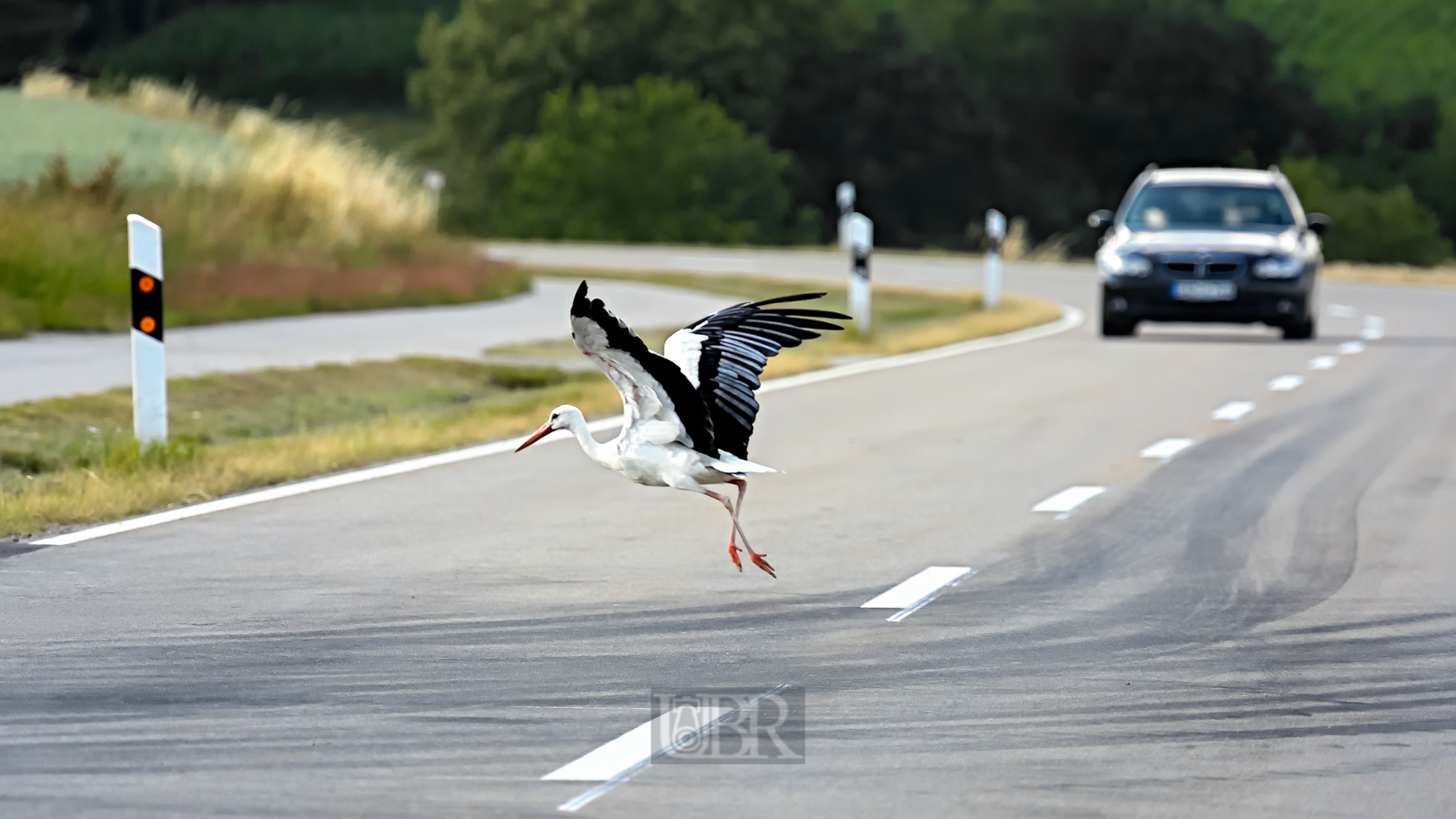 storch_04_strasse