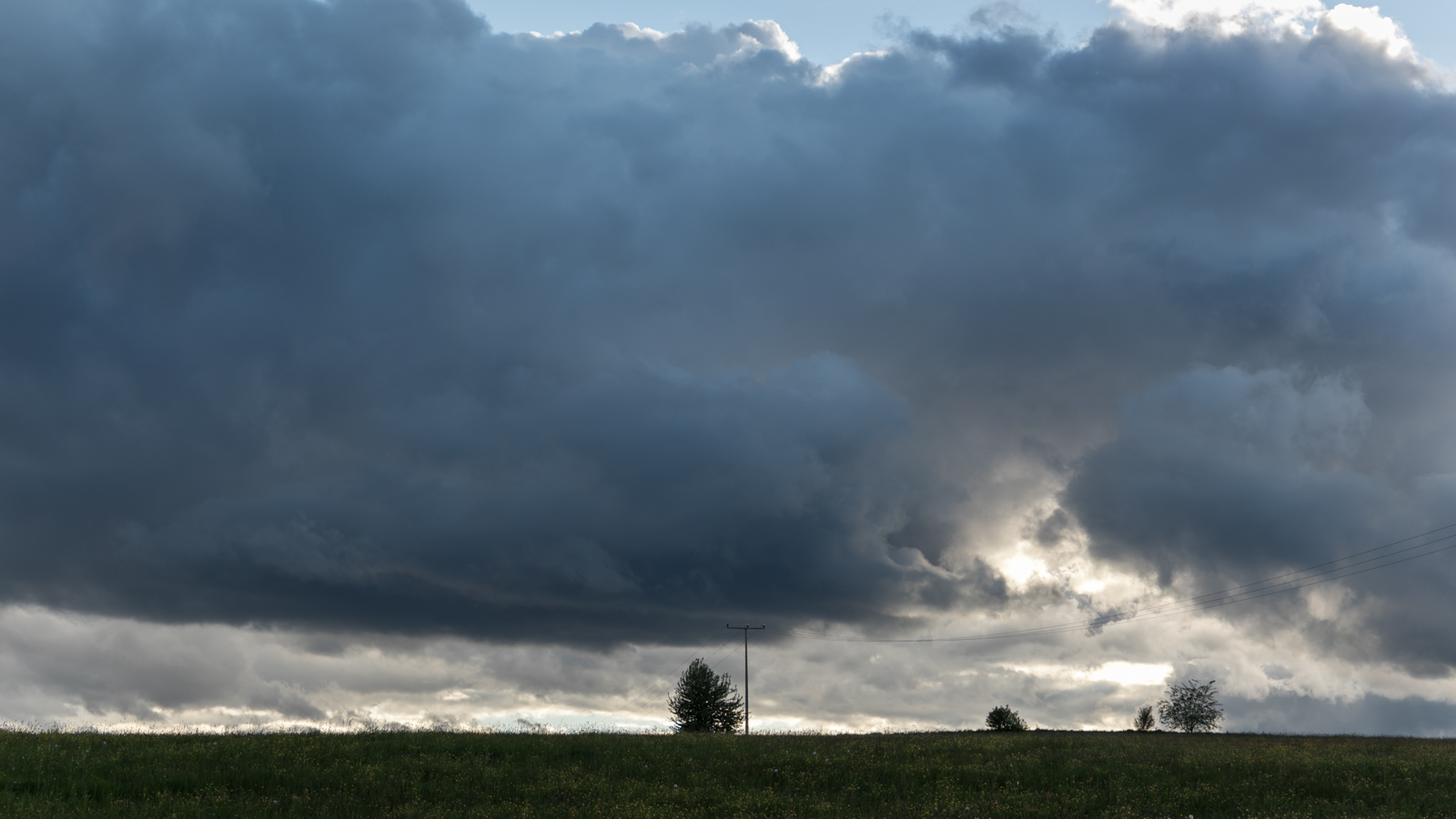 bowoe_natur_2021_fruehjahr_06