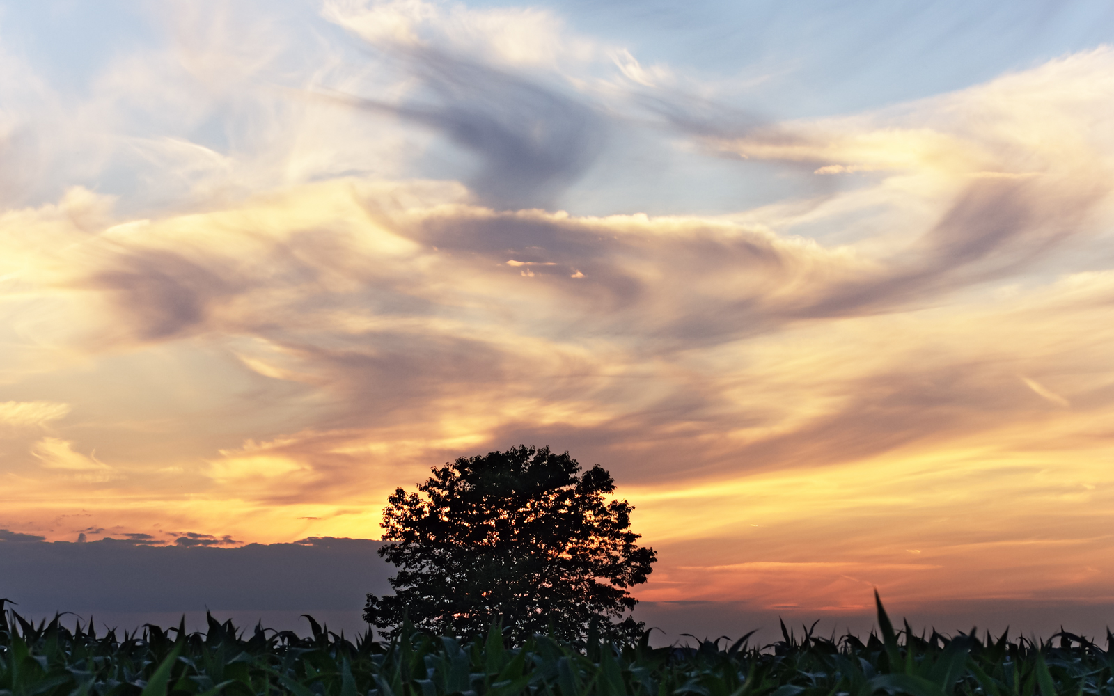 wolken_malerei_02