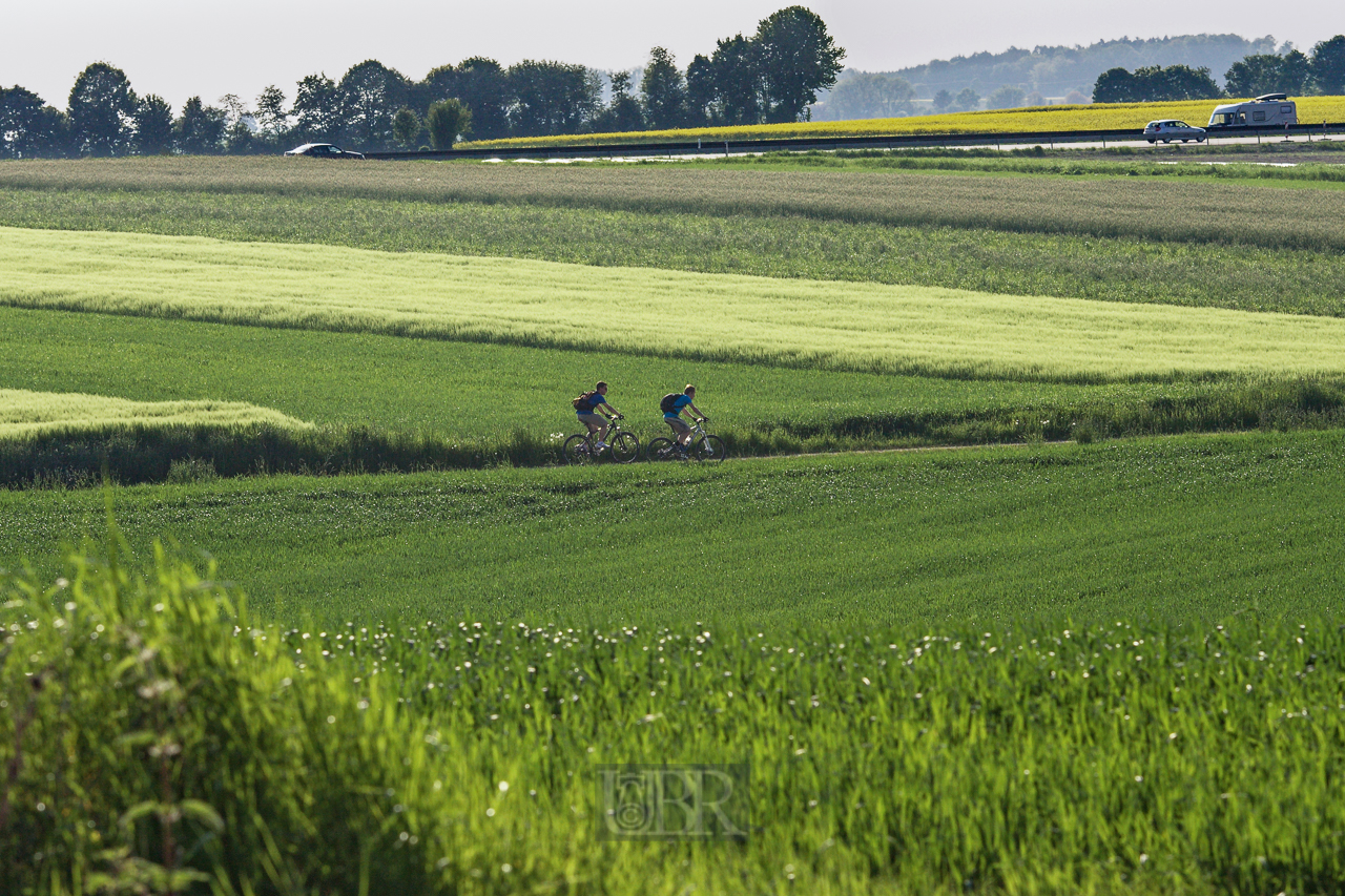 getreide_felder_juni_01_radler