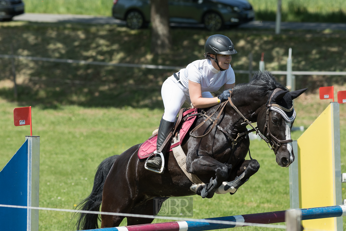 Aufnahmeeinstellungen:    200 mm   1/1600 Sek. bei f / 5,0   ISO 400