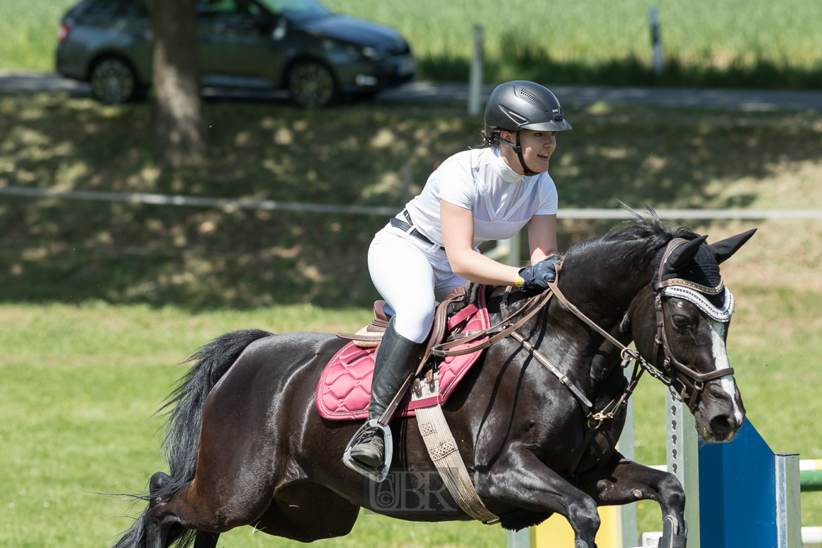 Aufnahmeeinstellungen:    200 mm   1/1600 Sek. bei f / 5,0   ISO 400