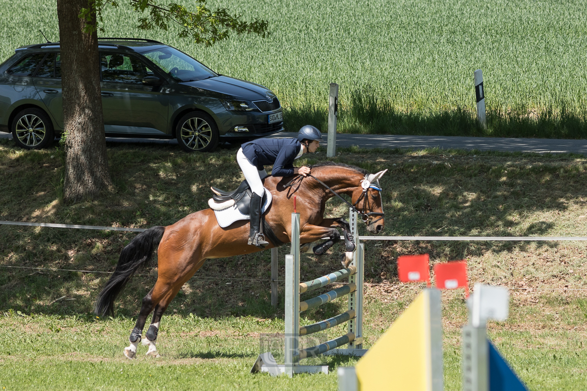 Aufnahmeeinstellungen:    200 mm   1/1600 Sek. bei f / 5,0   ISO 400