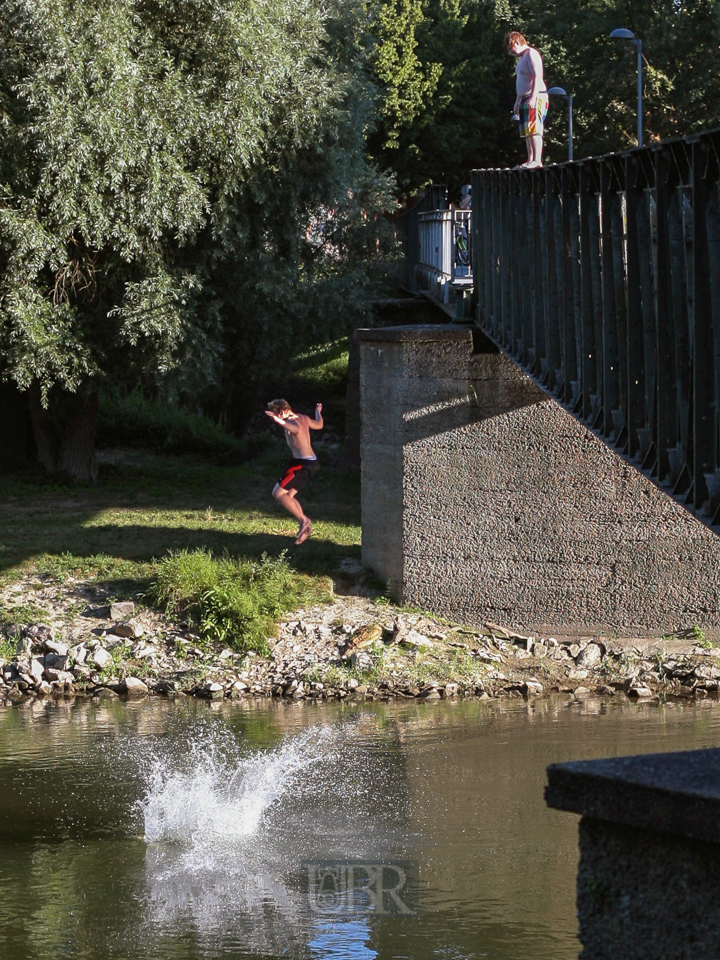 Ein Wasserläufer