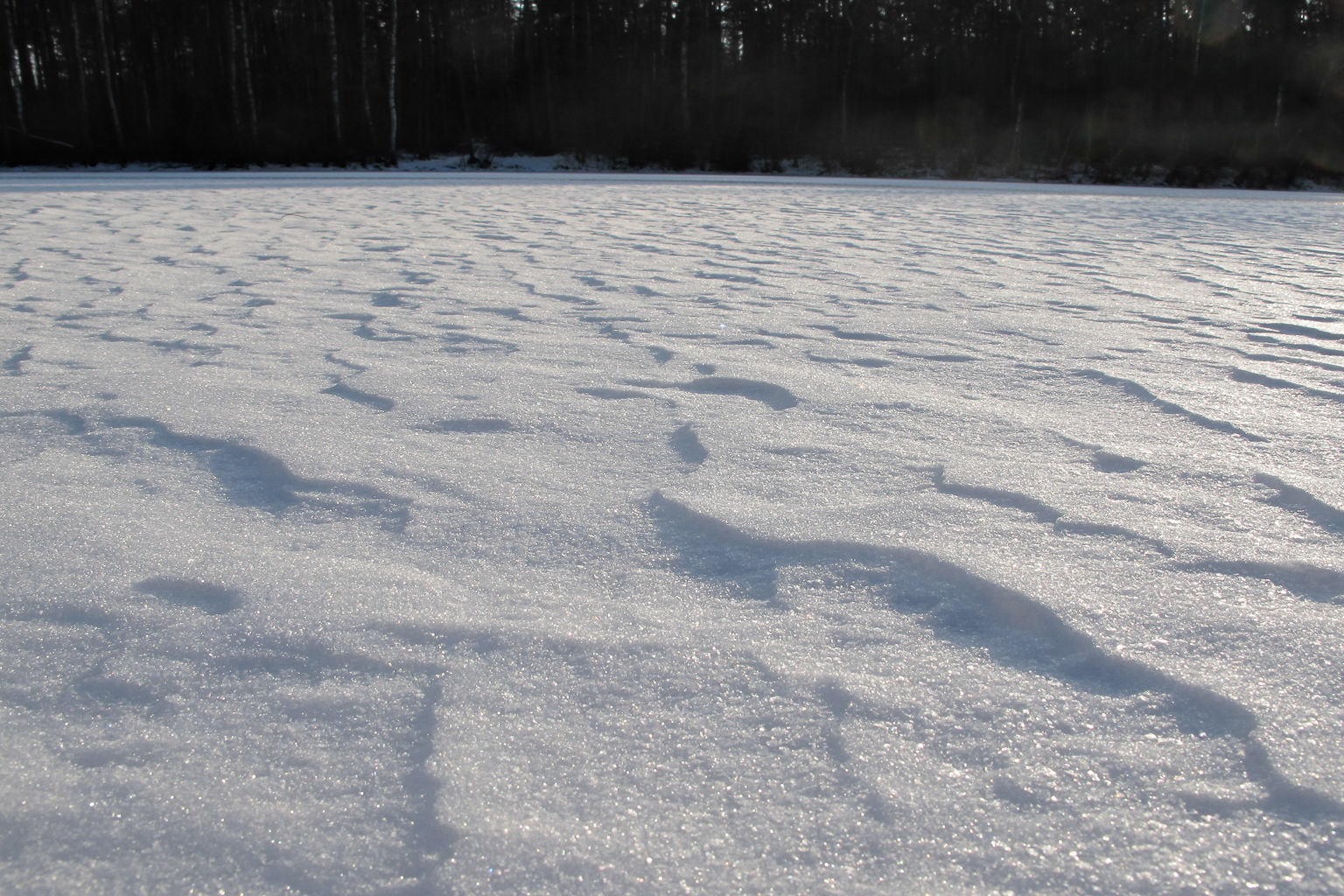 hammersee_minus15_04