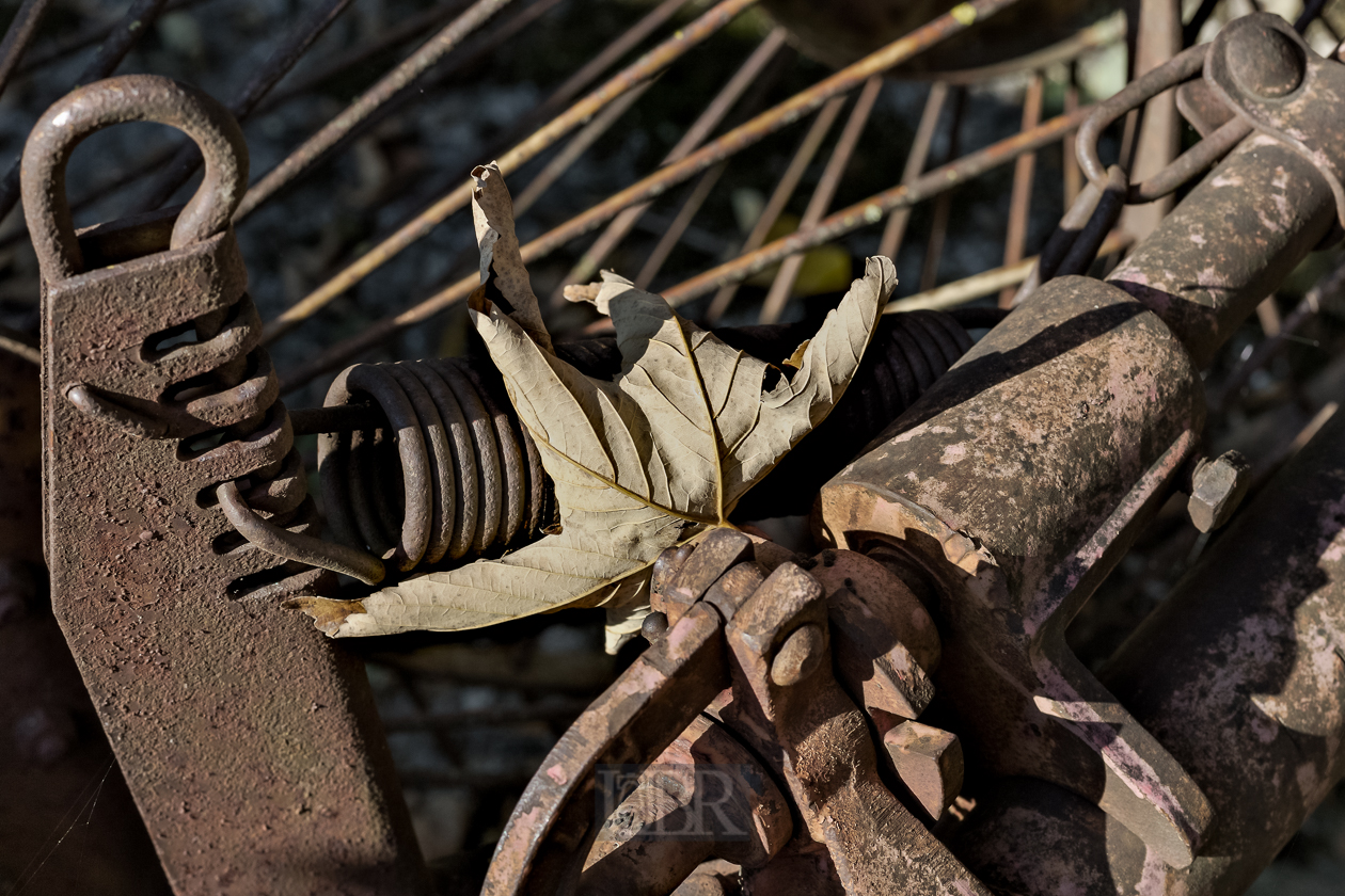 herbst_blatt_im_heuwender