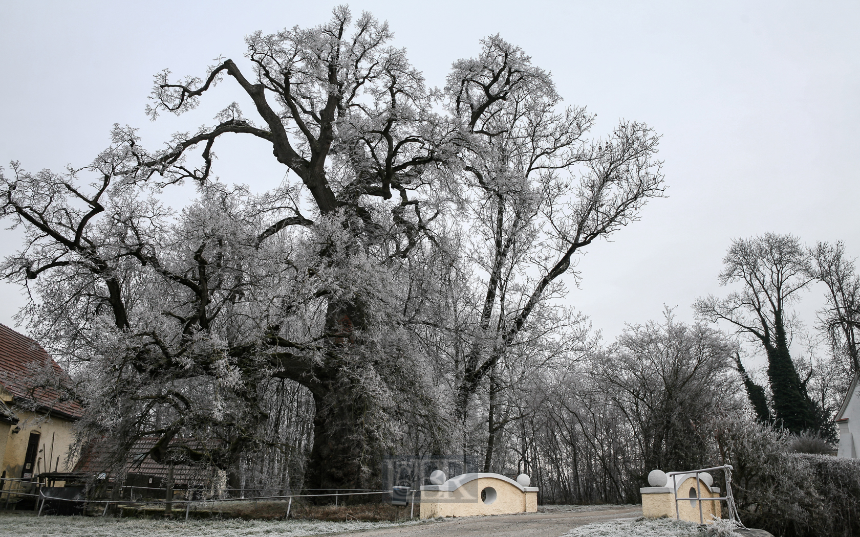 Schlossgut Erching im Nebel