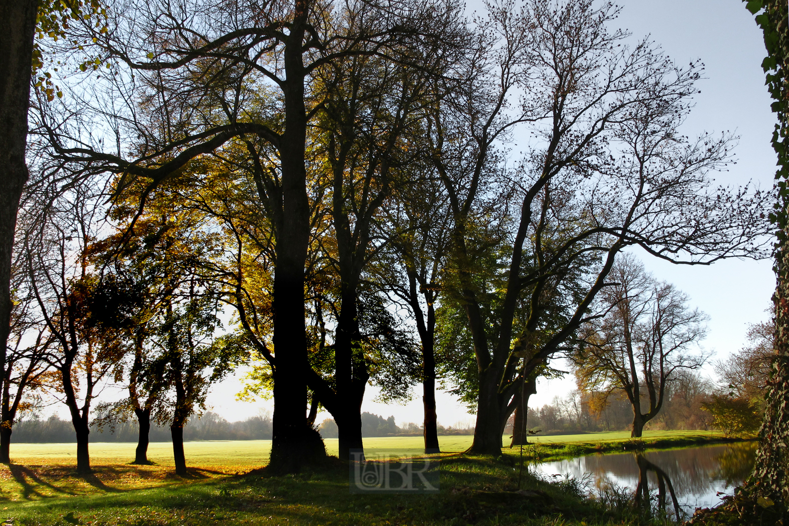 Der Weiher in Erching