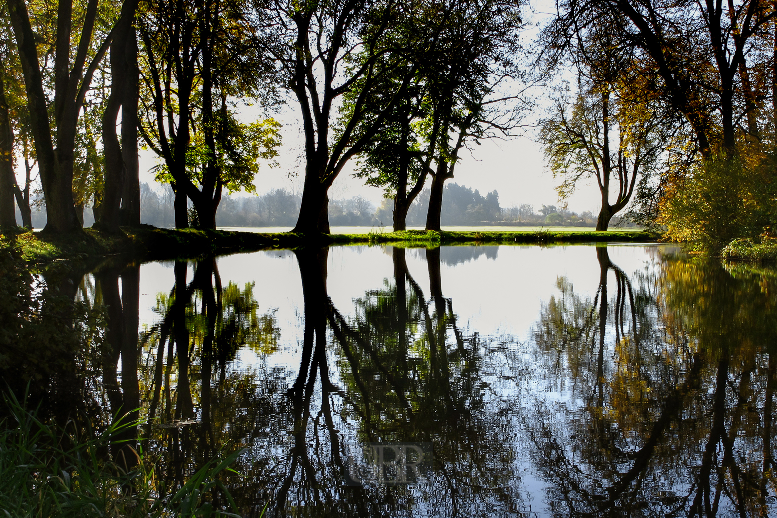 Der Weiher in Erching