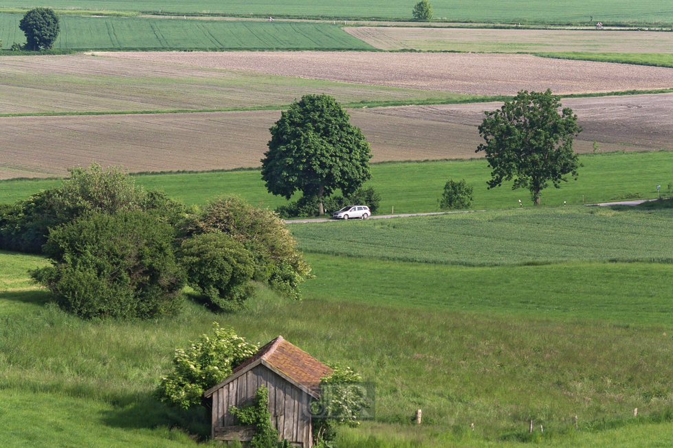 moosblick_02_schuppen_auto