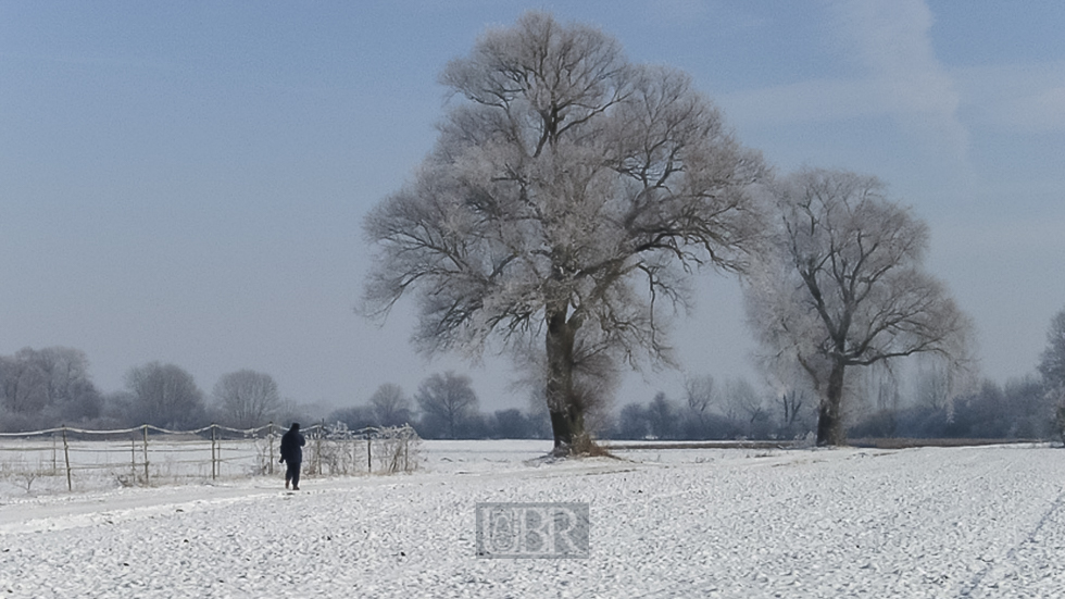 winter_feld_01