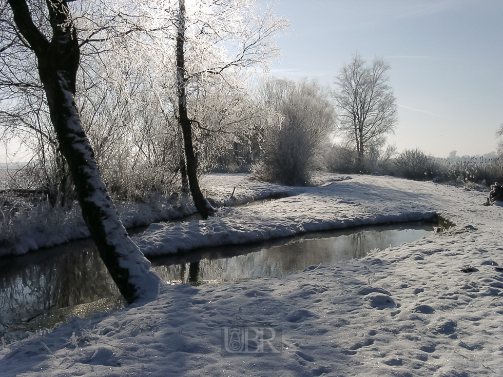 winter_natur_05