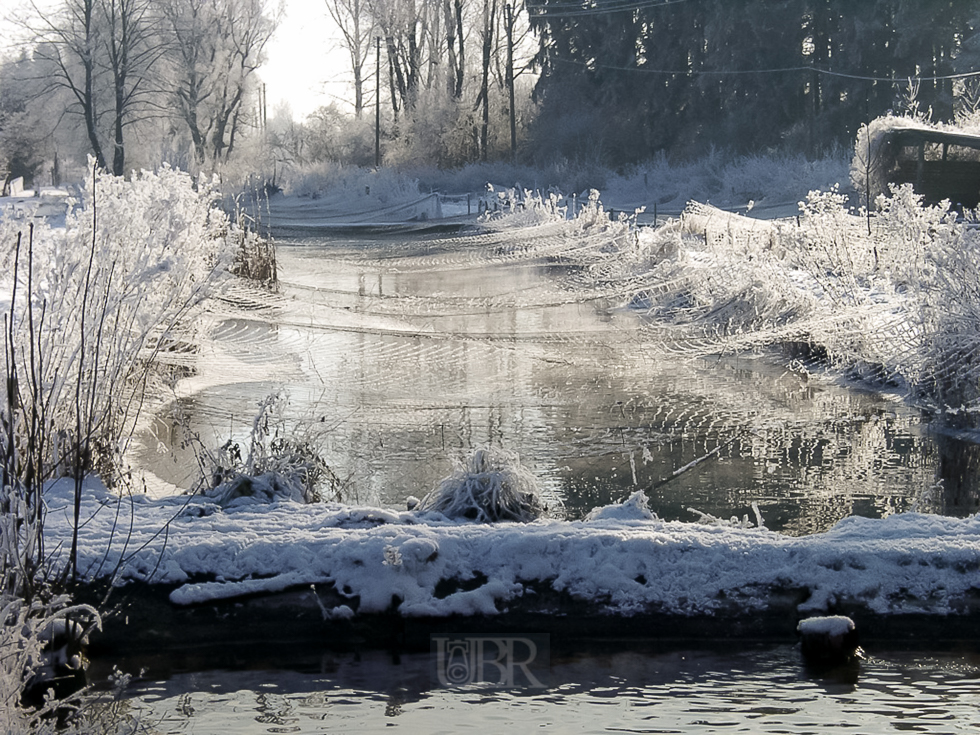 winter_natur_06