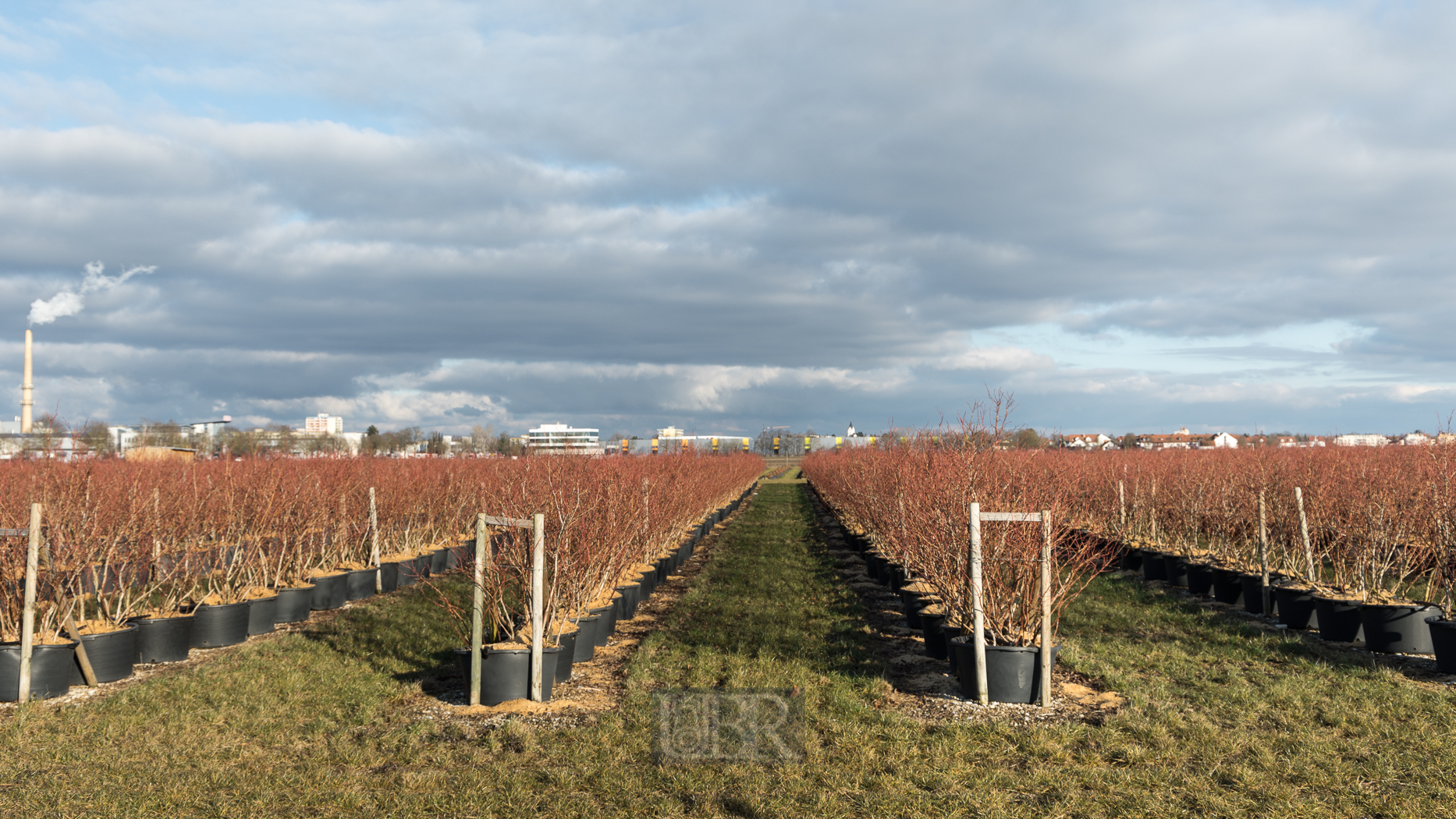 winterwolken_neufahrn_02