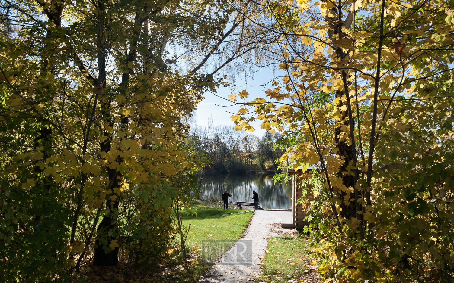 galgenbach_weiher_herbstfischer