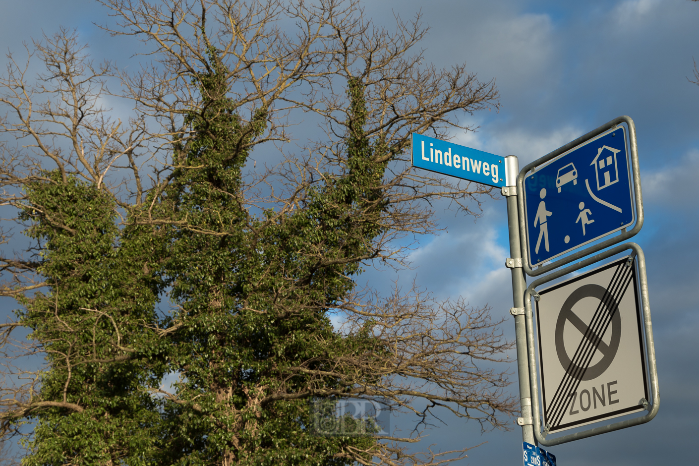 robinie_lindenweg_02