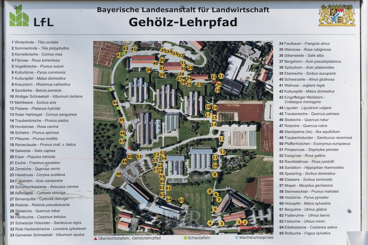 fs_gehoelz_lehrpfad_1