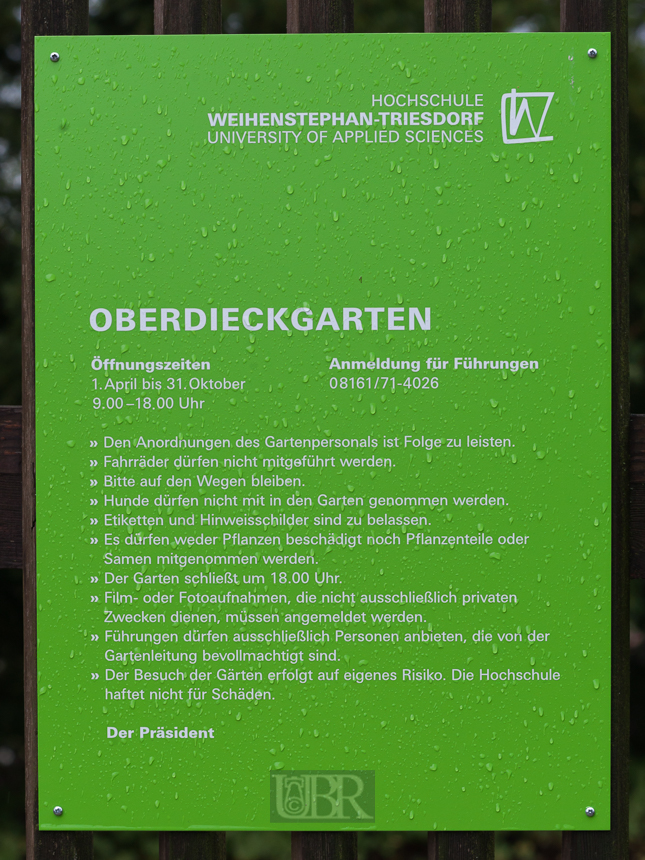 fs_oberdiekgarten_2