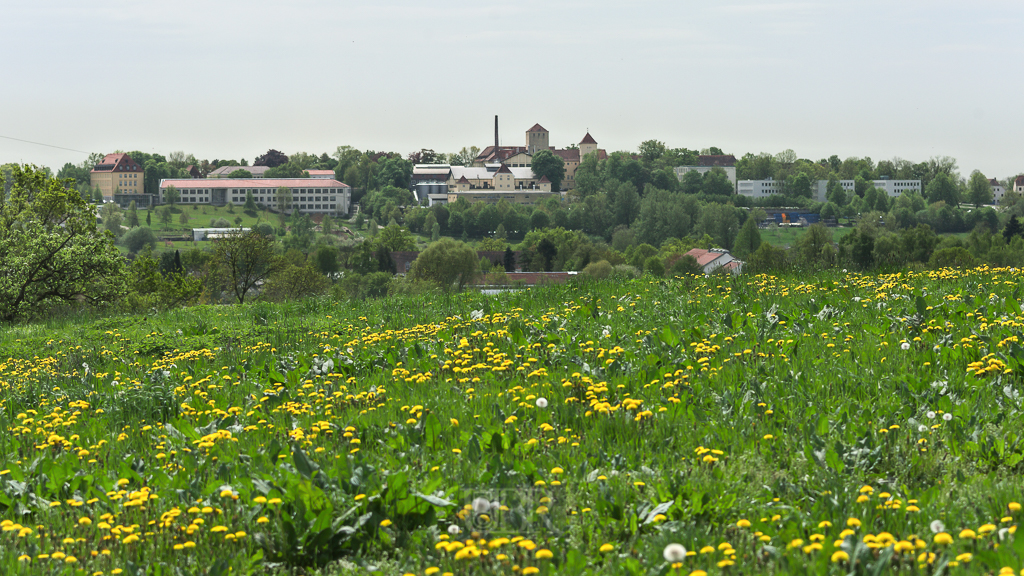 Blick vom Hügel des Schafhofs