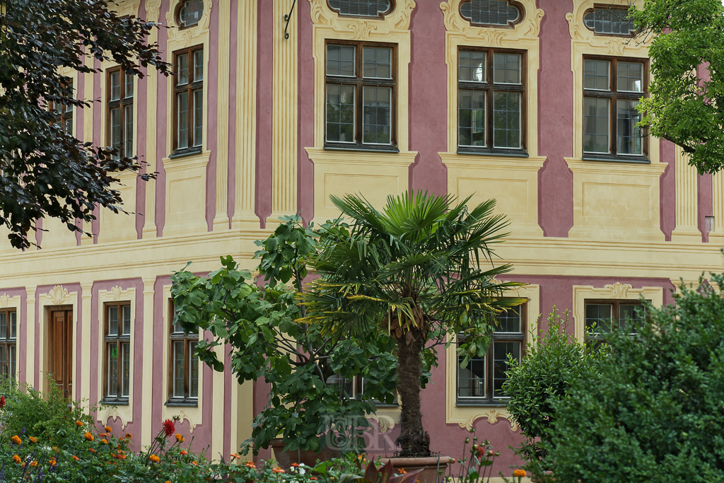 Institutsgebäude hinter Palmen