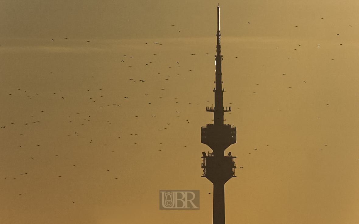 Umschwärmter Olypia-Fernsehturm