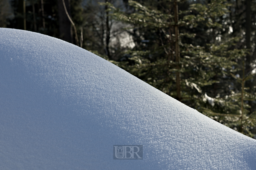 Verschneite Wälder und BÄche