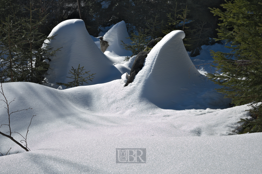 Verschneite Wälder und BÄche