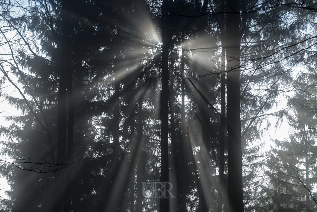 Zauberhaftes Licht durch Sonnenreflexionen