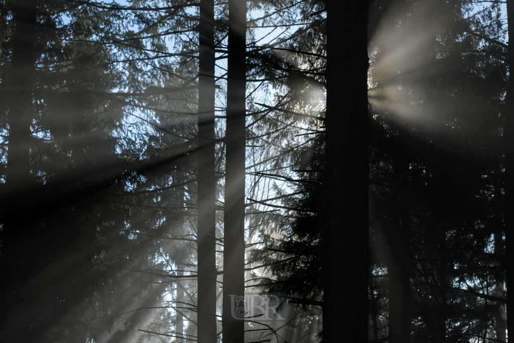 Zauberhaftes Licht durch Sonnenreflexionen