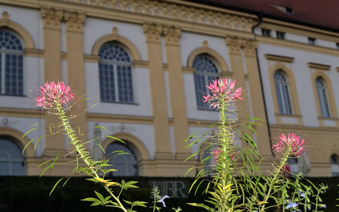 Im Hofgarten